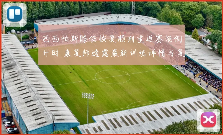 西西帕斯膝伤恢复顺利重返赛场倒计时 康复师透露最新训练详情与复出计划