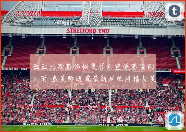 西西帕斯膝伤恢复顺利重返赛场倒计时 康复师透露最新训练详情与复出计划